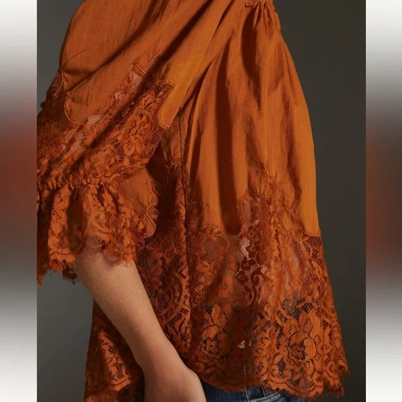 Anthropologie Victorian sheer lace blouse - Picture 3 of 10